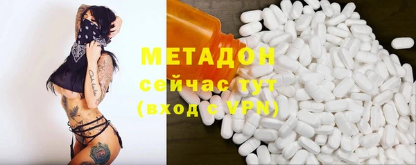 дмт Бородино