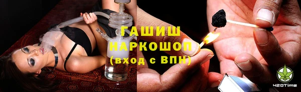 дмт Бородино