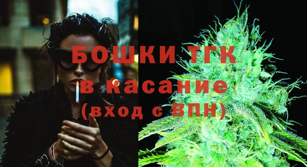 дмт Бородино