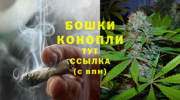 дмт Бородино