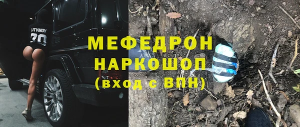 дмт Бородино