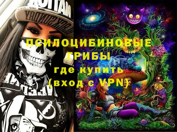 дмт Бородино