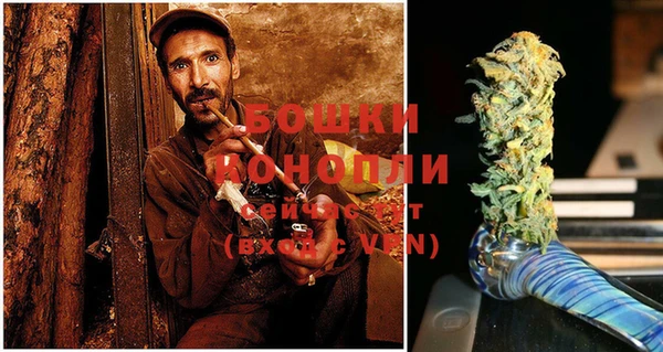 дмт Бородино