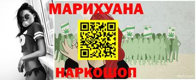 сатива Краснознаменск