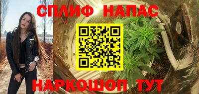 сатива Краснознаменск