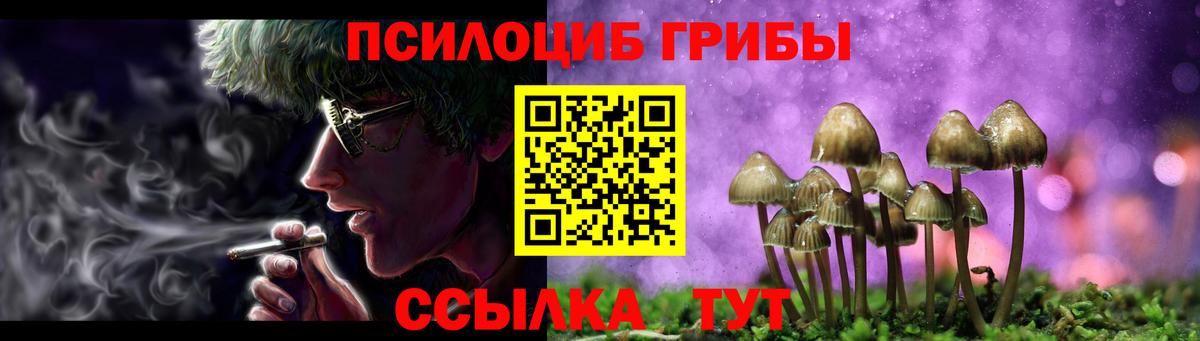 Псилоцибиновые грибы мухоморы Зима